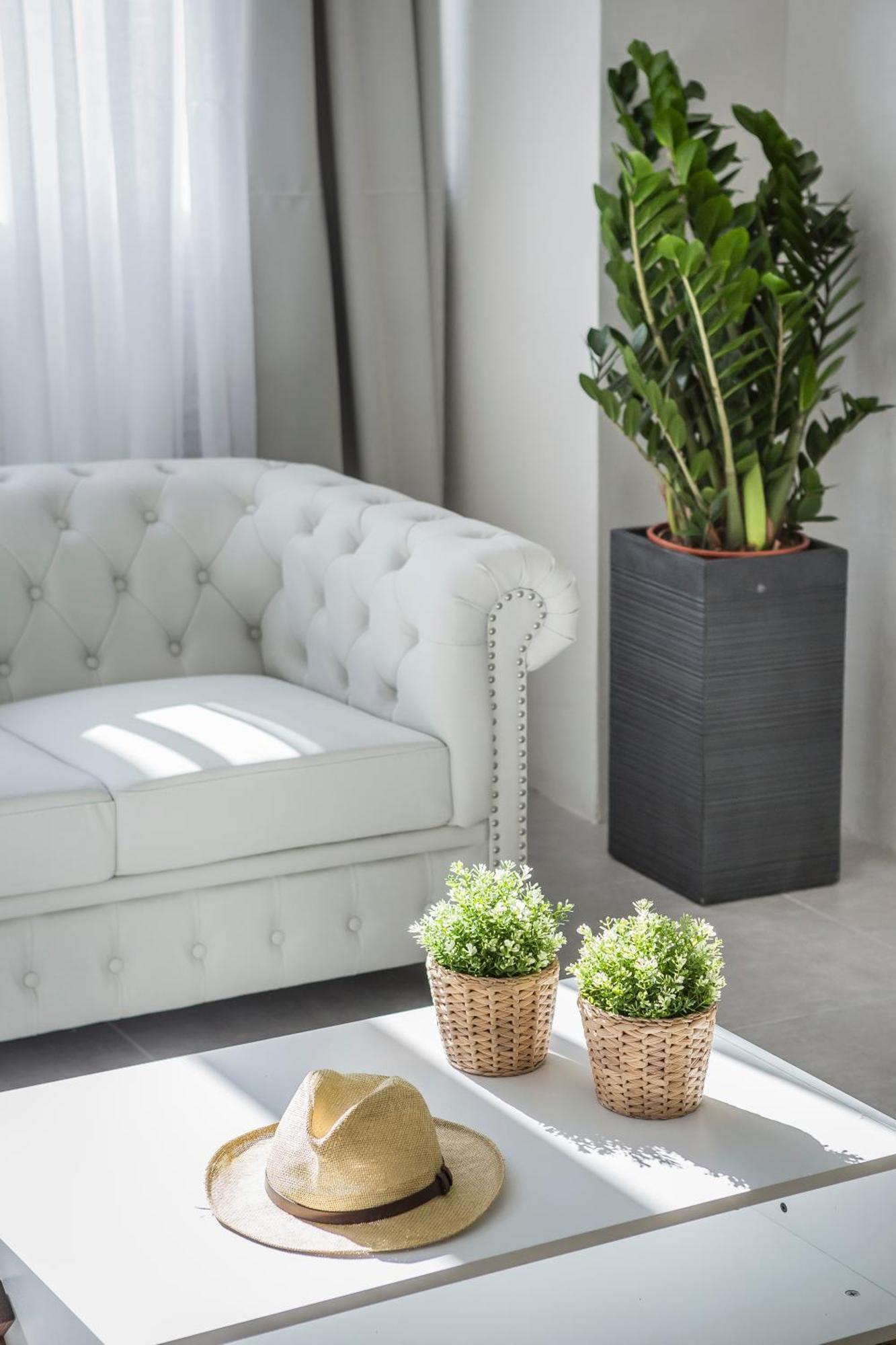 Suites Minetos Vlachata Номер фото